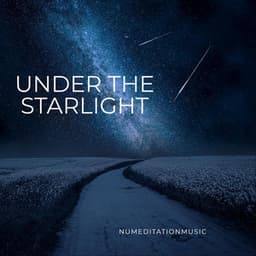 Under the Starlight - Nu Meditation Music