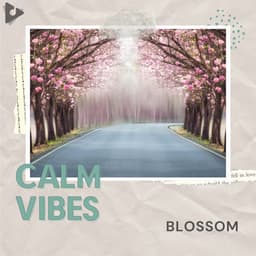 Blossom - Calm Vibes