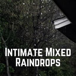 Intimate Mixed Raindrops - Relax