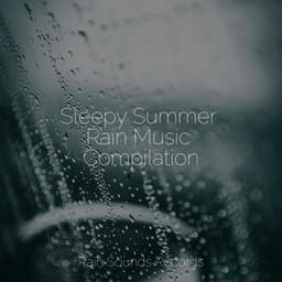Sleepy Summer Rain Music Compilation - Ocean Sounds