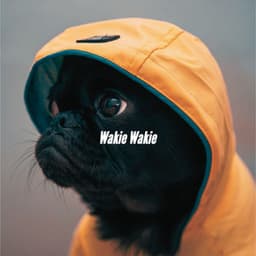 Wakie Wakie - Chill Cafe Music
