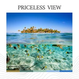 Priceless View - Relaxation Ocean Waves Academy