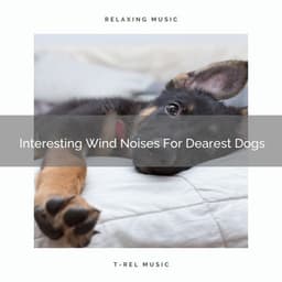 Interesting Wind Noises For Dearest Dogs - Dog Relax