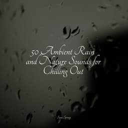 50 Ambient Rain and Nature Sounds for Chilling Out - White Noise For Baby Sleep