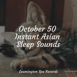 October 50 Instant Asian Sleep Sounds - The Sleep Helpers