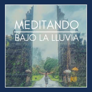 Meditando Bajo la Lluvia: Música con Sonidos Ambientales para la Practica del Yoga y la Meditación - Meditación Maestro