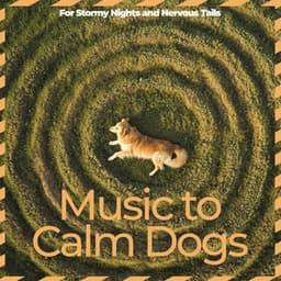 Music to Calm Dogs – For Stormy Nights and Nervous Tails - Relaxmydog