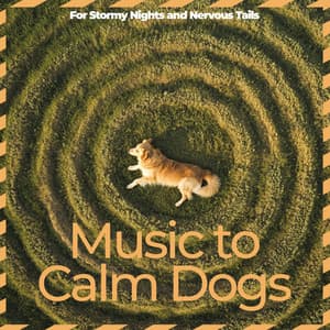 Music to Calm Dogs – For Stormy Nights and Nervous Tails - Relaxmydog