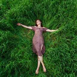 Serenade of Tranquility: Gentle Pink Noise for Blissful Calm - Acoustic Activity