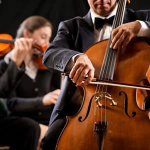 Orchestra Evening of Relaxation - Charles Anderson