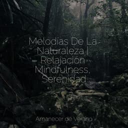 Melodías De La Naturaleza | Relajación Mindfulness, Serenidad - Yoga Sounds