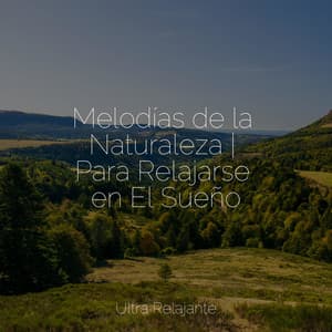 Melodías de la Naturaleza | Para Relajarse en El Sueño - Academia de Música para Massagem Relaxamento