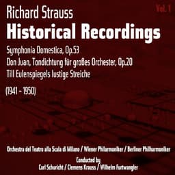 Richard Strauss: Historical Recordings, Volume 1 - Richard Strauss