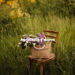 Agradable y suave - Acoustic Study Music Playlists