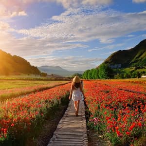 Música Relajante Para Tardes Tranquilas - Orquesta Nativa Americana