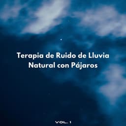 Terapia De Ruido De Lluvia Natural Con Pájaros Vol. 1 - Sonidos de lluvia y ruido de fondo
