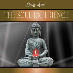The Soul Experience - Chriss Aum
