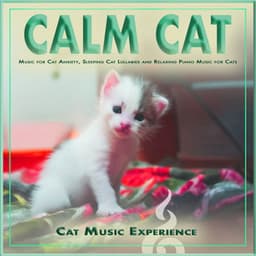 Calm Cat: Music for Cat Anxiety, Sleeping Cat Lullabies and Relaxing Piano Music for Cats - Cat Music Experience