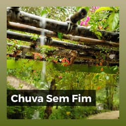 Chuva Sem Fim - Sons da natureza HD