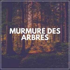 Murmure Des Arbres - Sommeil Profond de Détente