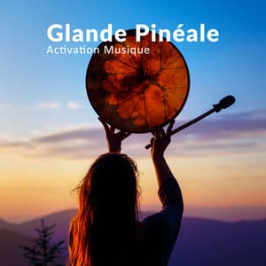 Glande Pinéale Activation Musique - Sean Evenett
