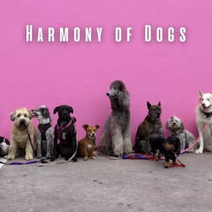 Harmony of Dogs: Binaural Music for Peaceful Moments - Binaural Beats Solutions