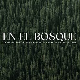 En El Bosque: La Mejor Música De La Naturaleza Para Tu Clase De Yoga - Grabaciones de la naturaleza