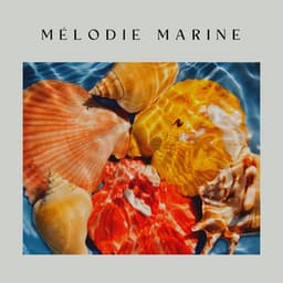 Mélodie Marine - Oasis de sommeil