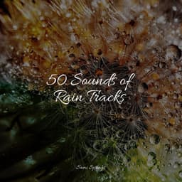 50 Loopable Rain Sounds for Relaxation & Meditation - Weather Factory