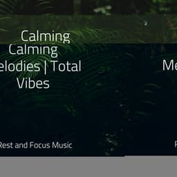 Calming Melodies | Total Vibes - Deep Focus