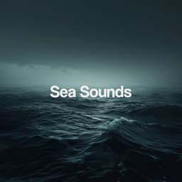 Sea Sounds - Relajacion Del Mar