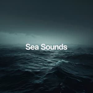 Sea Sounds - Relajacion Del Mar