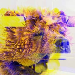 Fashionable Background Music for Agile Pups - Musica Relajante para Perros Momentos