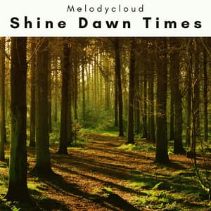 1 0 1 Shine Dawn Times - Melodycloud