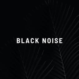 Black Noise - Black Noise Sleep