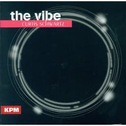 The Vibe - Curtis Schwartz