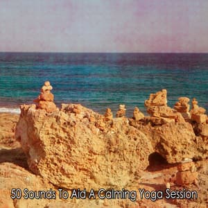 50 Sounds To Aid A Calming Yoga Session - Nu Meditation Music