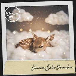 Duerme Bebé Dormilon: Nocturno Suite para bebé - Dog Relaxation