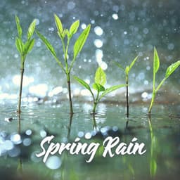 Spring Rain: Meditation for Regeneration & New Energy - Sounds Effects Academy