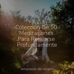 Colección De 50 Meditaciones Para Relajarse Profundamente - Meditation Relaxation Club