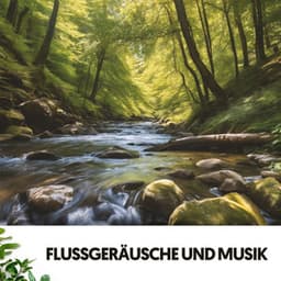 Flüsse und Bäche: Melodien des fließenden Wassers - Cat Music Therapy