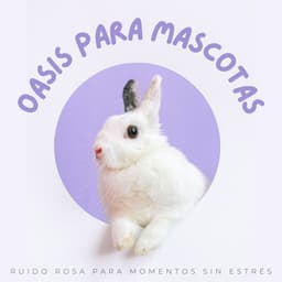 Oasis Para Mascotas: Ruido Rosa Para Momentos Sin Estrés - Ruido De Colores