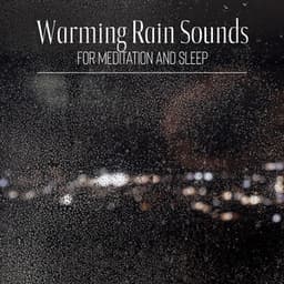 Warming Rain Sounds for Inner Silence and Moon Descent - Craig Peruss