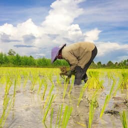 Water's Work Serenade in Ambient Tones - Water Way