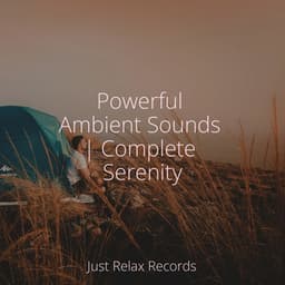Powerful Ambient Sounds | Complete Serenity - Study Music & Sounds
