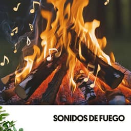 Sonidos de Fuego: Melodías ardientes - Relajacion