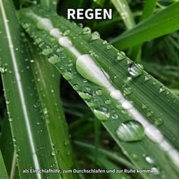 Regen als Einschlafhilfe, zum Durchschlafen und zur Ruhe kommen - Regengeräusche
