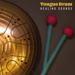 Tongue Drum Healing Sounds - Jonathan Segue