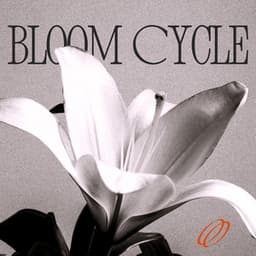 Bloom Cycle: A Jazz Reflection - Easy Jazz Instrumentals Academy