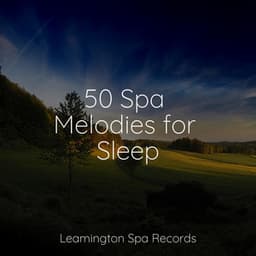 50 Spa Melodies for Sleep - Rain Sounds Factory STHLM